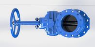 Hand Wheel Or Top Cap Operated Water Gate Valve Red / Blue Epoxy Coated