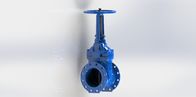 Rising Stem Soft Seated Ductile Iron Gate Valve EPOXY Rubber Coated Available