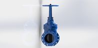Resilient Seated Gate Valve FBE Coated Flange Type With Handwheel Or Top Cap