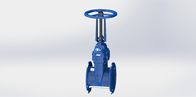 Resilient Seated Gate Valve FBE Coated Flange Type With Handwheel Or Top Cap