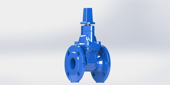 Durable Water Gate Valve with Flanged Connection and ANSI End Connection Designed to Ensure Operation in Complex Water Systems