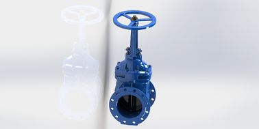 ANSI Durable Cast Iron Water Gate Valve For Industrial