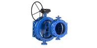 Disc Ring Double Eccentric Butterfly Valve SS316 Wore Gear Operated