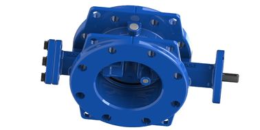 Double Eccentric Butterfly Valve