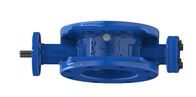 Manual Operation Double Eccentric Flange Butterfly Valve With FM Certificate