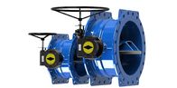 Ductile Iron Double Eccentric Butterfly Valve Dovetail Design SS316 Coated Disc