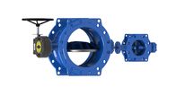 Arch Or Flat Shape Double Eccentric Butterfly Valve With Ribs