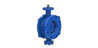 Dovetail Design Ductile Iron Double Eccentric Butterfly Valve Worm Gear Available