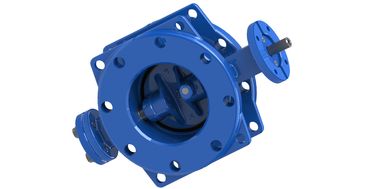 Dovetail Design Ductile Iron Double Eccentric Butterfly Valve Worm Gear Available