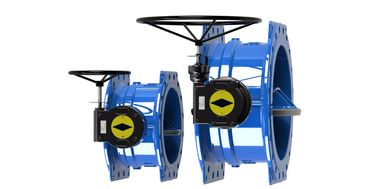 FM Certificate Double Eccentric Butterfly Valve Temperature Range -10-80C For Dovetail Design