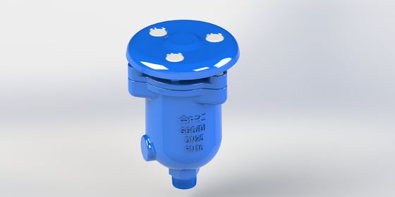 Ductile Iron Combination Air Release Valve with Threaded And Flange Connection and Stainless Steel Float for Fluid Transport Systems