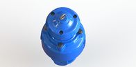 No Harm Liquid Spilling RAL5010 Air Release Valve For Sewage Water System