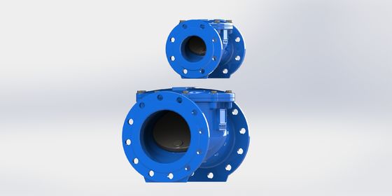 DN50-700 EN12266 Certified Ductile Iron Body Swing Flex Check Valve for Water Applications