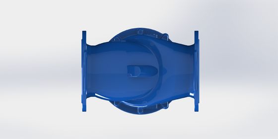 PN16 Pressure Rating Swing Flex Check Valve with EPDM Seal Material and DN50-700 Size for Industrial Applications