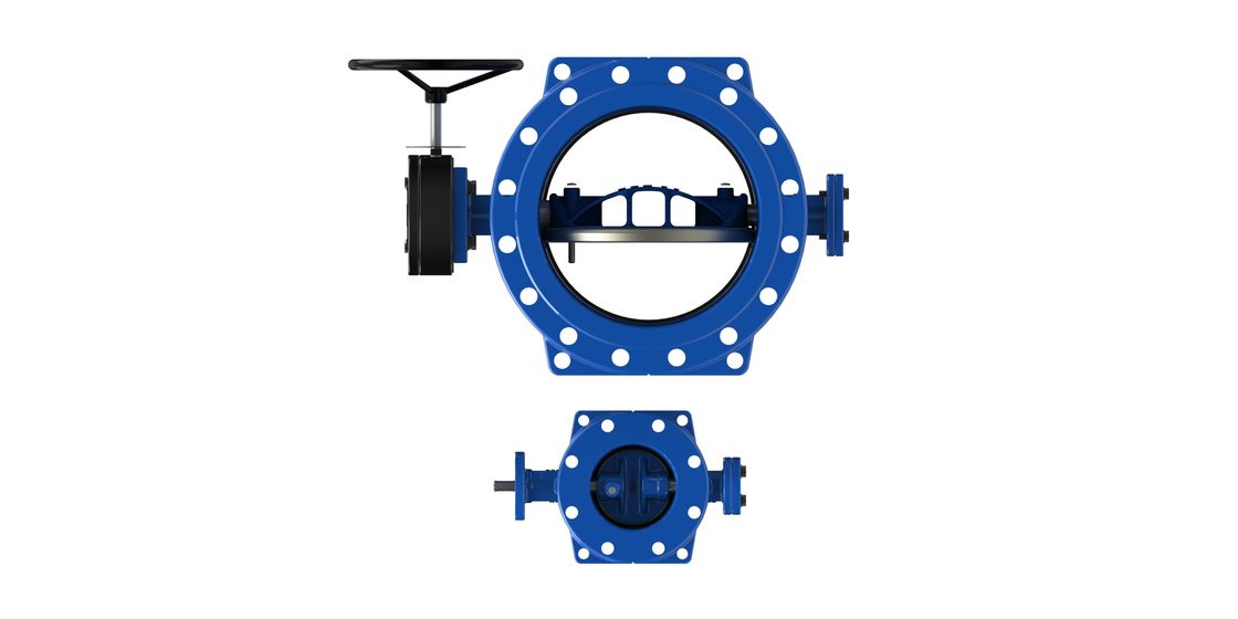 RAL5010 SS316L Disc Seat Double Eccentric Butterfly Valve DN350mm