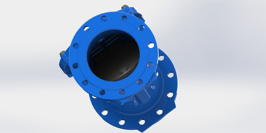 PN10 Pressure Rating Swing Flex Check Valve with EPDM Seal Material and Ductile Iron Body for Water Treatment